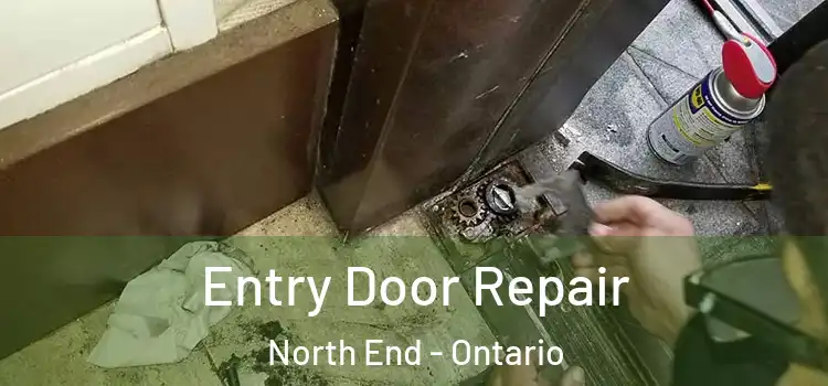 Entry Door Repair North End - Ontario